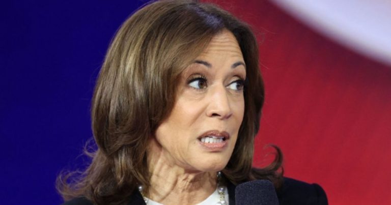 Kamala Slips Up Yet Again Discussing Illegal Immigration – ‘Is The Border Wall Stupid?’