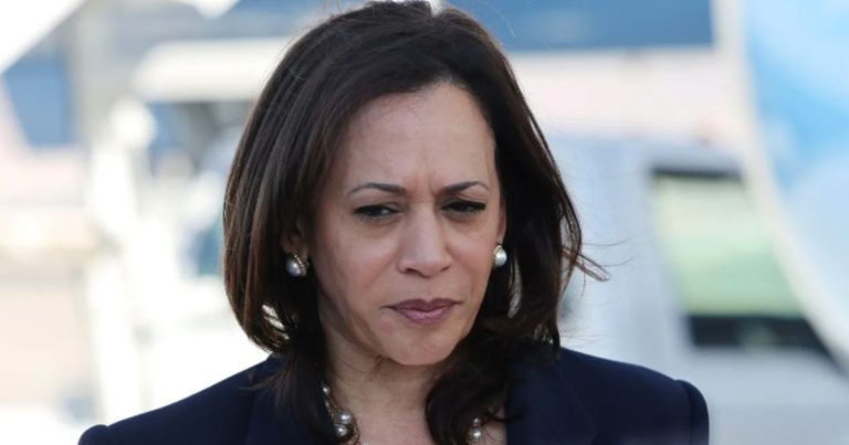 Kamala Isn’t Going Away. She’s Already Preparing for Her Next Office: ‘Staying in the Fight’