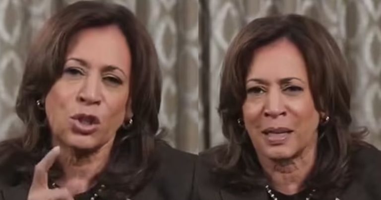 Kamala Appears Bleary-Eyed In Bizarre Thanksgiving Message to Dems: ‘Have You Been Drinking?!’